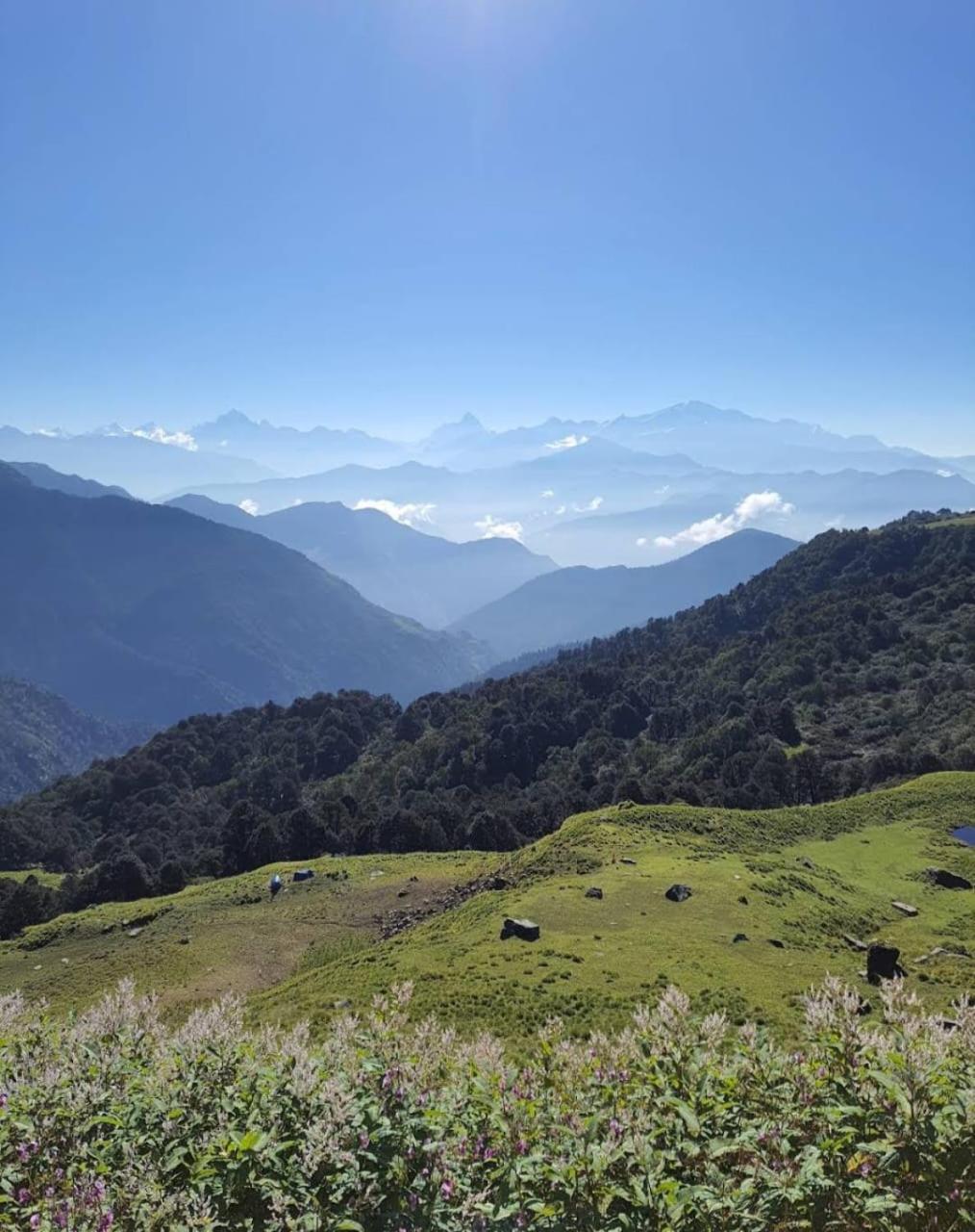 Shiva Homestay Gopeshwar Dış mekan fotoğraf