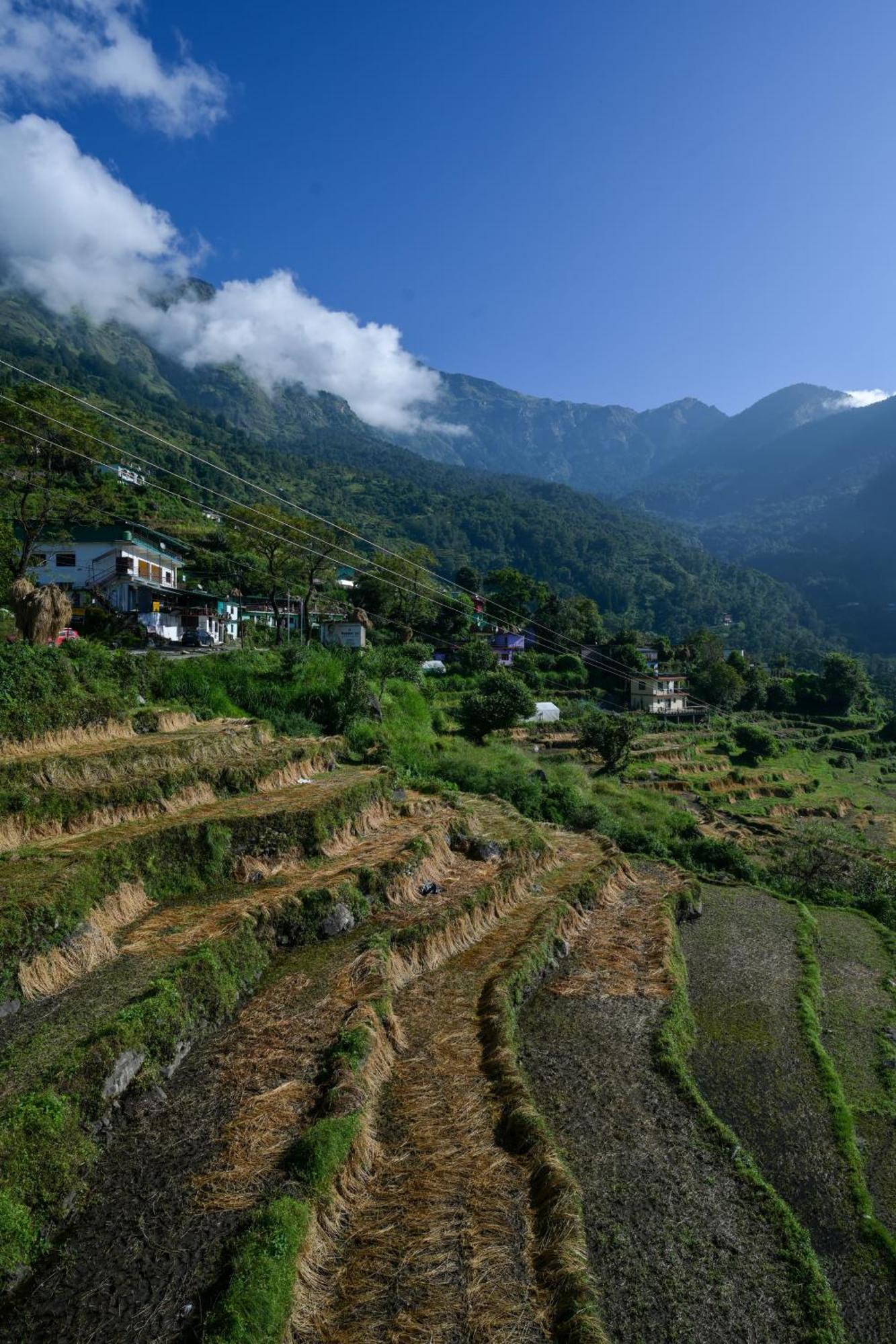 Shiva Homestay Gopeshwar Dış mekan fotoğraf